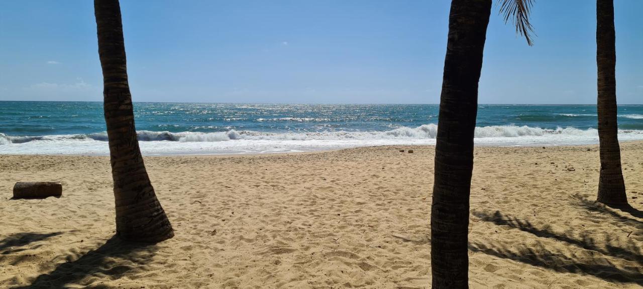 Trevily Porto Flats A 100M Da Praia Порту-ді-Галіняс Екстер'єр фото